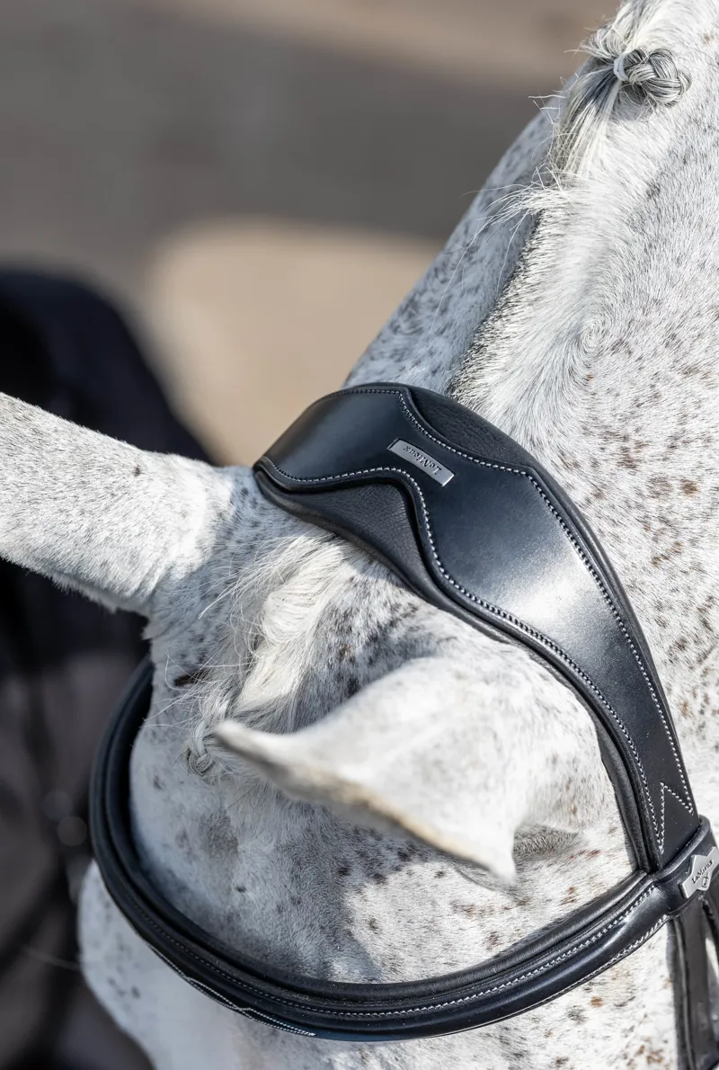 LeMieux Kudos Competition Flash Bridle Black 7 LeMieux Kudos Competition Flash Bridle Black - Image 5