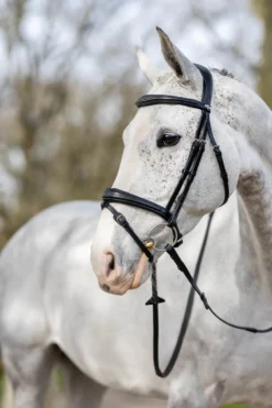 LeMieux Kudos Competition Flash Bridle Black 10 LeMieux Kudos Competition Flash Bridle Black -Equestrian Related G0A7705