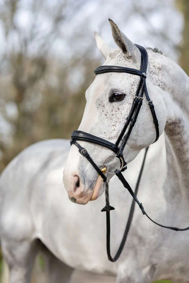 LeMieux Kudos Competition Flash Bridle Black 5 LeMieux Kudos Competition Flash Bridle Black - Image 3