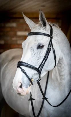 LeMieux Kudos Competition Flash Bridle Black 13 LeMieux Kudos Competition Flash Bridle Black -Equestrian Related G0A7739