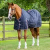 Premier Equine Garissa Stable Rug 100g Navy