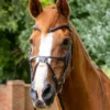 Premier Equine Glorioso Grackle Bridle Brown -Equestrian Related Glorioso Grackle Bridle Brown 1
