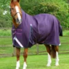 Premier Equine Buster Hardy 100g Half Neck Turnout Rug Purple