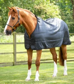 Premier Equine 200g Horse Rug Liner Black -Equestrian Related Horse Rug Liner Black 2 2