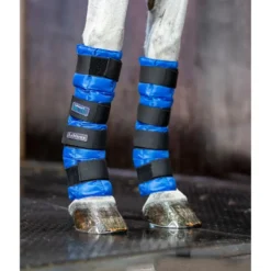 LeMieux Arctic Ice Boot - Blue -Equestrian Related LeMieux Arctic Ice Boots 2