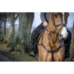 LeMieux DryTex Stormwear Waterproof Chaps Black 9 LeMieux DryTex Stormwear Waterproof Chaps Black -Equestrian Related LeMieux DryTex Stormwear Waterproof Chaps 4