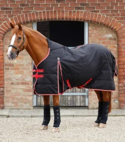 Premier Equine Lucanta Demi Stable Rug 200g Black