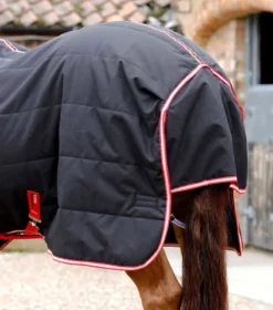 Premier Equine Lucanta Demi Stable Rug 200g Black -Equestrian Related Lucanta Demi Stable Rug 200 Black 6