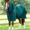 Premier Equine Lucanta 200g Stable Rug With Neck Cover Green -Equestrian Related Lucanta Stable Green Image 1 RGB