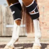 Premier Equine Magni-Teque Magnetic Hock Boots Black -Equestrian Related Magni Teque Magnet Hock Boots 1
