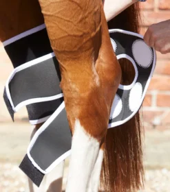 Premier Equine Magni-Teque Magnetic Hock Boots Black -Equestrian Related Magni Teque Magnet Hock Boots 3
