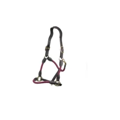 Cameo Anatomic Leather Headcollar Plum