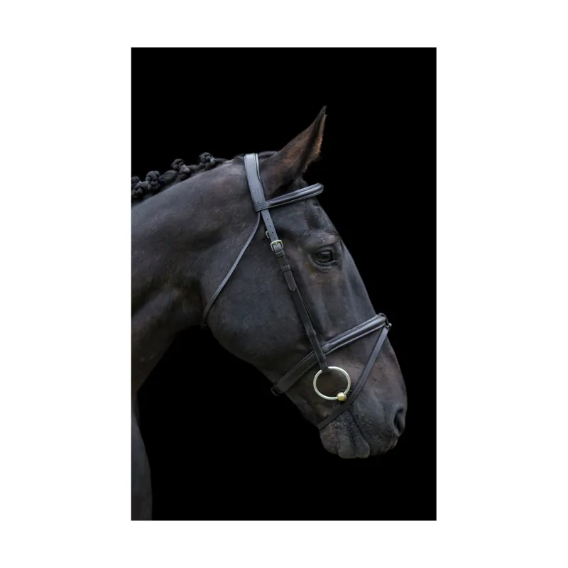 EcoRider Classic Comfort Bridle - Black 4 EcoRider Classic Comfort Bridle - Black - Image 2
