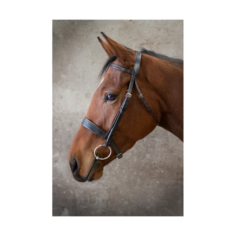 EcoRider Classic Show Bridle - Brown 3 EcoRider Classic Show Bridle - Brown