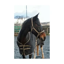 Cameo Headcollar And Lead Rope - Black-Gold