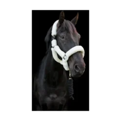 Cameo Deluxe Headcollar - Cream
