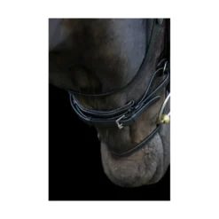 EcoRider Ecosoft Enigma Bridle - Brown -Equestrian Related P ECO ENI BRI ECO601 04 2