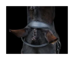 EcoRider Ecosoft Finesse Bridle - Black -Equestrian Related P ECO FIN BRI ECO603 010