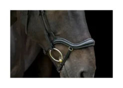 EcoRider Ecosoft Finesse Bridle - Black -Equestrian Related P ECO FIN BRI ECO603 03