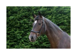 EcoRider Ecosoft Finesse Bridle - Black -Equestrian Related P ECO FIN BRI ECO603 09