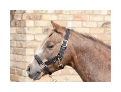 Cameo Fieldsafe Headcollar - Black-Reflective