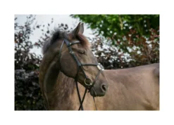 EcoRider Freedom Grackle Bridle - Brown -Equestrian Related P FRE GRA BRI ECO015 04 2