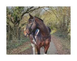 EcoRider Freedom Grackle Bridle - Brown -Equestrian Related P FRE GRA BRI ECO015 08