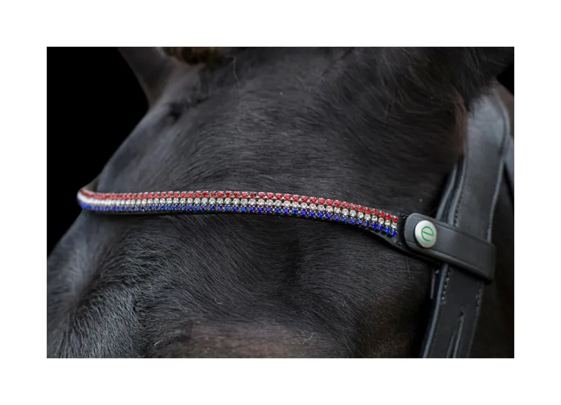 EcoRider Freedom Victoria Browband - Black 3 EcoRider Freedom Victoria Browband - Black