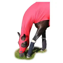 Equestrian Related -Equestrian Related PR 21636 Supreme Products Lycra Hood Black 04