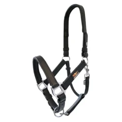 Equilibrium Stellar Head Collar In Black