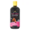 Lincoln Silky Shine 2-in-1 Shampoo And Conditioner -Equestrian Related PR 4261 Lincoln Silky Shine 2 in 1 Shampoo and Conditioner 01 2