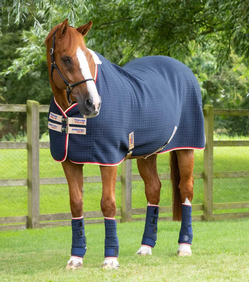 Premier Equine PremTex Horse Cooler Rug Navy 3 Premier Equine PremTex Horse Cooler Rug Navy