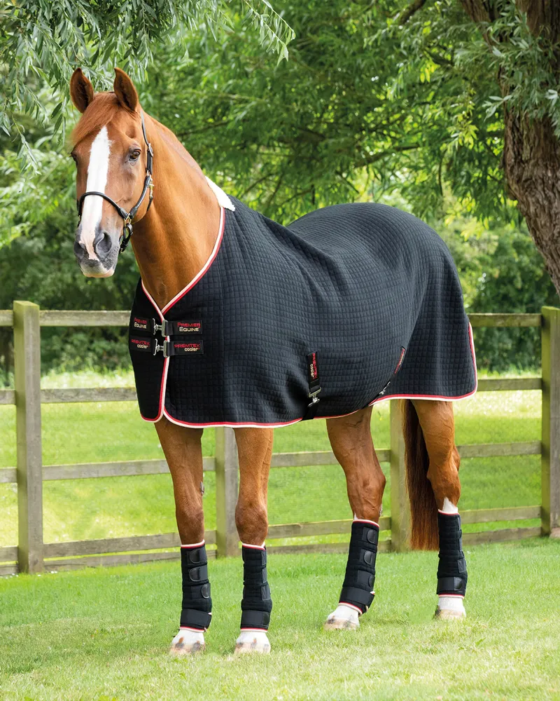 Premier Equine PremTex Horse Cooler Rug Black 3 Premier Equine PremTex Horse Cooler Rug Black