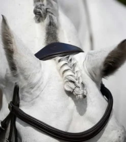 Premier Equine Rizzo Anatomic Snaffle Bridle With Flash Brown -Equestrian Related Rizzo Anatomic Snaffle Bridle with Flash Brown 6