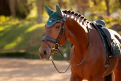 LeMieux Loire Fly Hood Spruce -Equestrian Related SIcZUTE