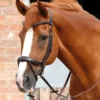 Premier Equine Savuto Anatomic Bridle With Crank Naseband And Flash Brown -Equestrian Related Savuto Anatomic Bridle with Crank Brown 1