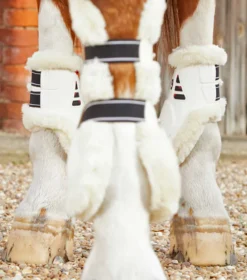 Premier Equine Techno Wool Fetlock Boots White -Equestrian Related Techno Wool Fetlock Boot White 2