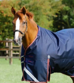 Premier Equine Titan 100g Turnout Rug With Snug-Fit Neck Cover Navy -Equestrian Related Titan 100 Turnout Rug Navy 2