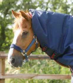 Premier Equine Titan 100g Turnout Rug With Snug-Fit Neck Cover Navy -Equestrian Related Titan 100 Turnout Rug Navy 3