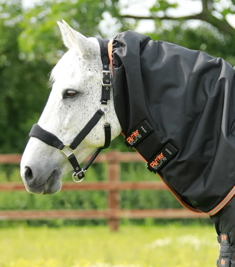 Premier Equine Titan 300g Turnout Rug With Snug-Fit Neck Cover Black 5 Premier Equine Titan 300g Turnout Rug With Snug-Fit Neck Cover Black - Image 3