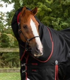 Premier Equine Titan 450g Turnout Rug With Snug-Fit Neck Cover Black -Equestrian Related Titan 450 Turnout Rug Black 2