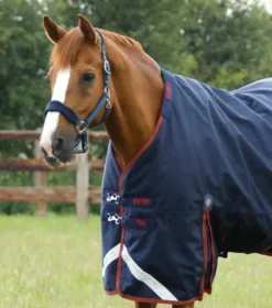 Premier Equine Titan 450g Turnout Rug With Snug-Fit Neck Cover Navy -Equestrian Related Titan 450 Turnout Rug Navy 2