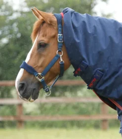 Premier Equine Titan 450g Turnout Rug With Snug-Fit Neck Cover Navy -Equestrian Related Titan 450 Turnout Rug Navy 3