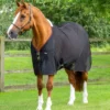 Premier Equine Ventoso Mesh Cooler Rug Black 2 Premier Equine Ventoso Mesh Cooler Rug Black -Equestrian Related Ventoso Mesh Cooler Black 1