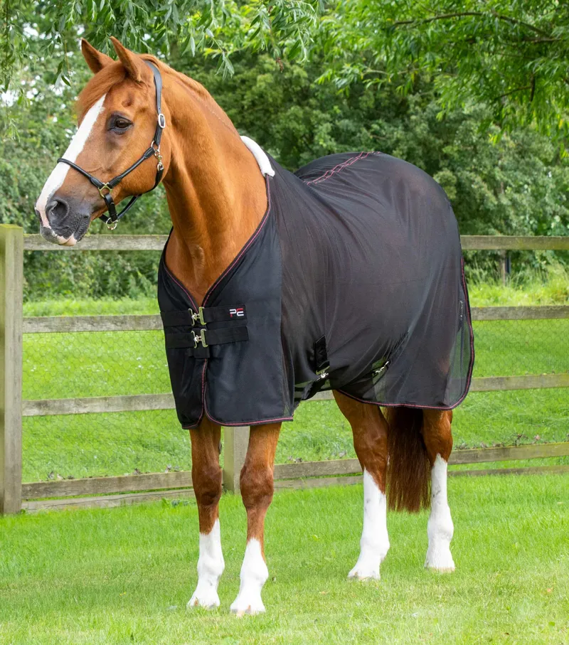 Premier Equine Ventoso Mesh Cooler Rug Black 3 Premier Equine Ventoso Mesh Cooler Rug Black