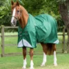 Premier Equine Akoni 0g Original Turnout Rug Green 2 Premier Equine Akoni 0g Original Turnout Rug Green -Equestrian Related akoni 0g original green 1