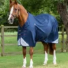 Premier Equine Akoni 0g Original Turnout Rug Navy
