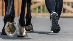 LeMieux Trax Waterproof Trainer - Black 23 LeMieux Trax Waterproof Trainer - Black -Equestrian Related black 2131