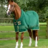 Premier Equine Buster Fleece Cooler Rug - Continental Edition Green