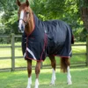 Premier Equine Buster Hardy 400g Half Neck Turnout Rug Black -Equestrian Related buster hardy 400 black 1